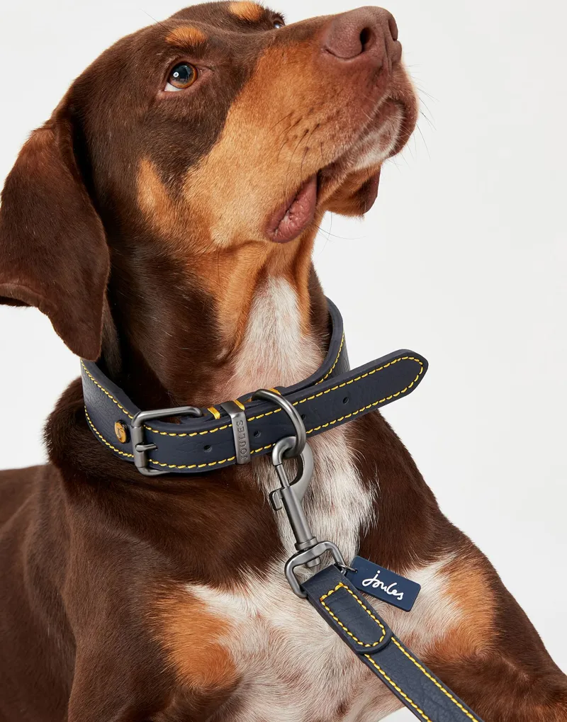 Joules Leather Dog Lead Navy-5